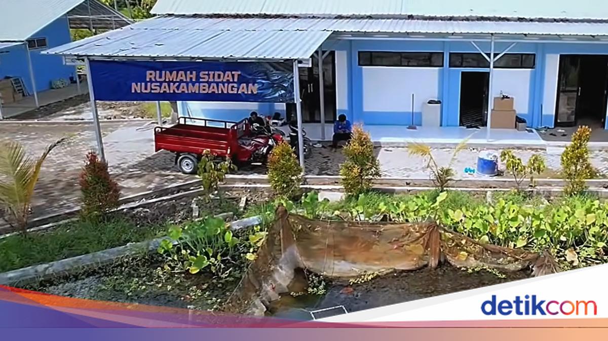 Sidat Cilacap: Membangun Masa Depan Perikan
